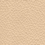 lf-sl-a428.jpg